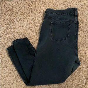 TORRID Jegging size 18 Short